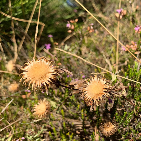 Tag 7 - 33 von 46